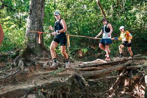 BIB: 
                            <button type="button" onclick="openModal(27552859)" class="btn btn-primary btn-sm float-right btn-popup" data-toggle="modal" data-target=".modal-high-quality">
                        <i class="fas fa-shopping-cart"></i> Add to Cart
                    </button>
                                            <button type="button" onclick="isThisMe(27552859, true)" class="btn btn-success btn-sm float-right btn-popup btn-isme hidden" data-toggle="tooltip" data-placement="bottom" title="นี่คือรูปของคุณใช่ไหม คลิกที่นี่เพื่อเอาเข้าอัลบั้ม">
                        <i class="fas fa-plus"></i> Add to album
                    </button>
                    <button type="button" onclick="isThisMe(27552859, false)" class="btn btn-warning btn-sm float-right btn-popup btn-isnotme hidden">
                        <i class="fas fa-ban"></i> Remove from album
                    </button>